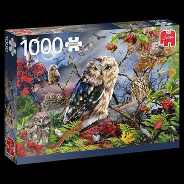 Imagen de Puzzle 1000 piezas - Premium Collection - Owls In The Moonlight